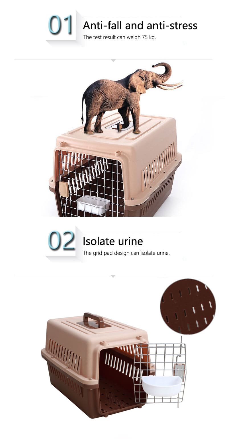 large plastic dog crate